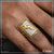 1 Gram Gold Forming Jaguar With Diamond Gorgeous Design