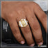1 Gram Gold Forming Lion with Diamond Latest Design High-Quality Ring - Style A893