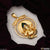 1 Gram Gold Plated Ganesha Best Quality Durable Design