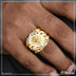 1 Gram Gold Plated Handmade Lion Finely Detailed Design Ring for Men - Style B383
