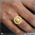 1 Gram Gold Plated Lion Distinctive Design Best Quality Ring For Men - Style B437