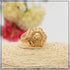 1 Gram Gold Plated Lion Stunning Design Superior Quality Ring for Men - Style B304
