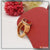 1 Gram Gold Plated Red Stone Ring with Diamond - Style A967