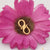 Pink flower with gold ring, 1 gram gold plated S hook for chain - small size - S6.