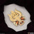 1 Gram Gold Plated Shiv On Trishul Glittering Design