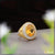 1 Gram Gold Plated Yellow Stone With Diamond Funky Design