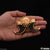 Very Big Size Sun Gold Plated Dual Lion Nail for Men - Style A622