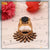 Black Hexagon Stone Finely Detailed Design Gold Plated Ring